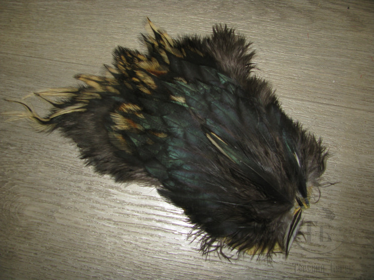 Перо петуха на коже большой вырез между седлом и скальпом Silver Badger / Black Peacock ( распродажа П- 10 )