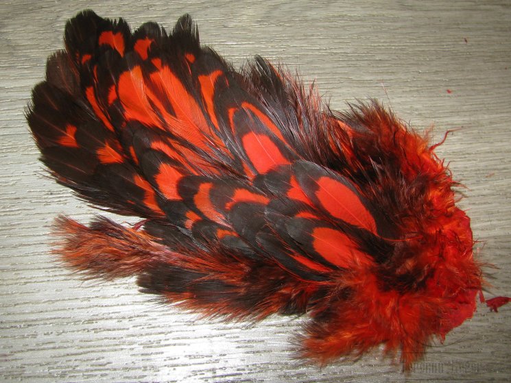 Перо курицы огненно оранжевое с чёрной окантовкой 1/2 Soft Hackle BLW Hot Orange Whiting