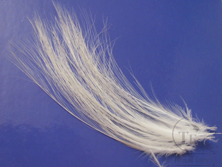 Heron Fine Fibre ( Nat. White ) (10 fs) Lg