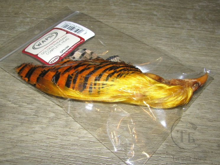 Золотой фазан комплект (шея, голова) Golden Pheasant Complete Head Wapsi