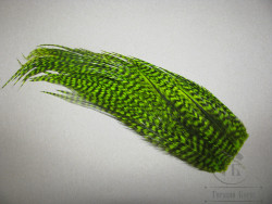 Нижняя часть сухого скальпа высокой градации Grizzly Fl. Chartreuse ( ССК 103 )