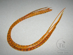 Перо Dry Fly ( для сухих мух ) 10 шт гризли оранжевый, крючки № 18