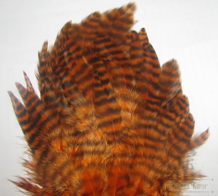 Куриное перо Hen feathers гризли морковный