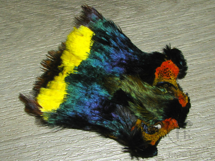 Шейные перья охотничьего фазана Ringneck Neck Patch Yellow Perlescent 
