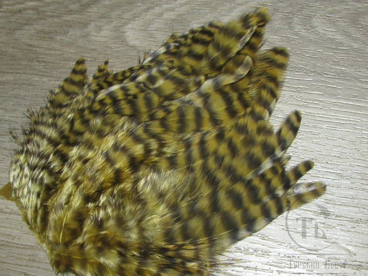 Куриное перо Hen feathers гризли золотисто оливковый