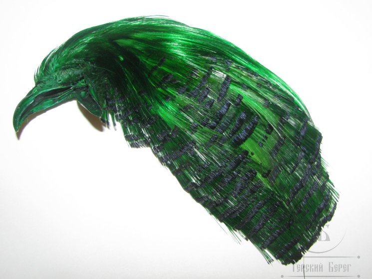 Золотой фазан комплект (шея, голова) Golden Pheasant Complete Head  Green #2