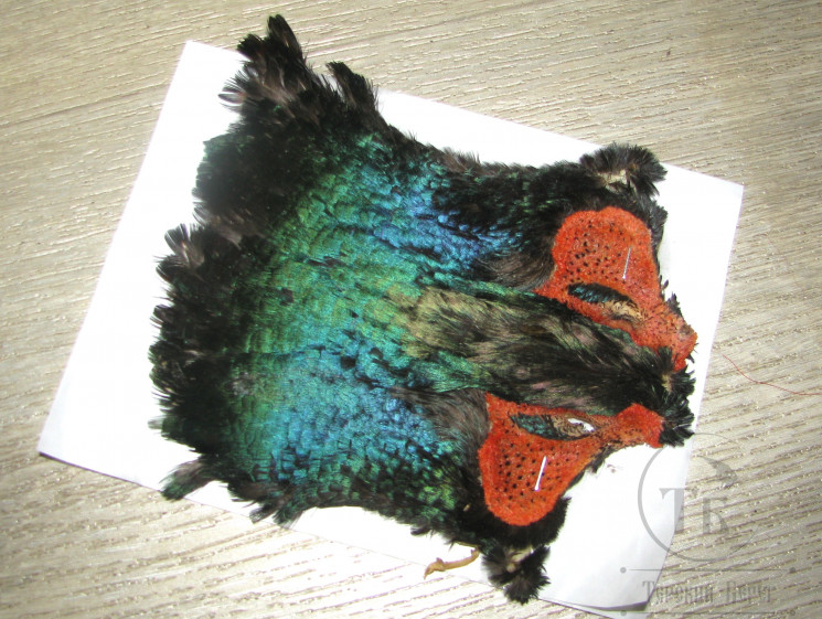 Шейные перья зелёного фазана Green Neck Patch Natural Perlescent 