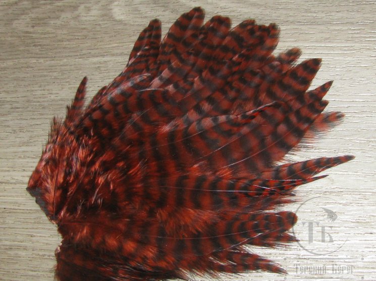 Куриное перо Hen Feathers Grizzly Fiery Brown 