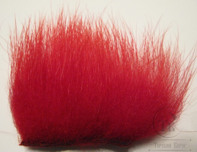 imi polar bear scarlet standart
