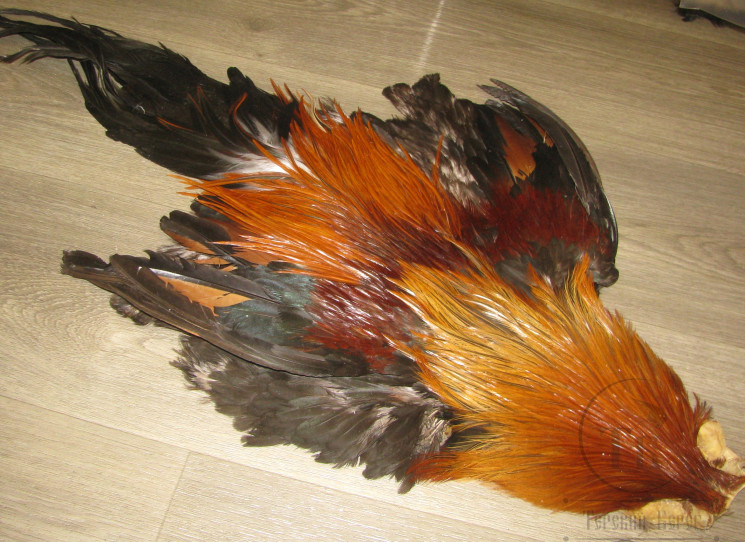 Шкура петуха с крыльями и хвостом Cock Skin Feniх Streamer ( скальп рыже коричневый, седло коричневое , хвост черно зеленый ) CS 2 / 24 