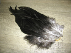 Перо петуха на коже Schlappen Coq De Leon Black Peacock Natural