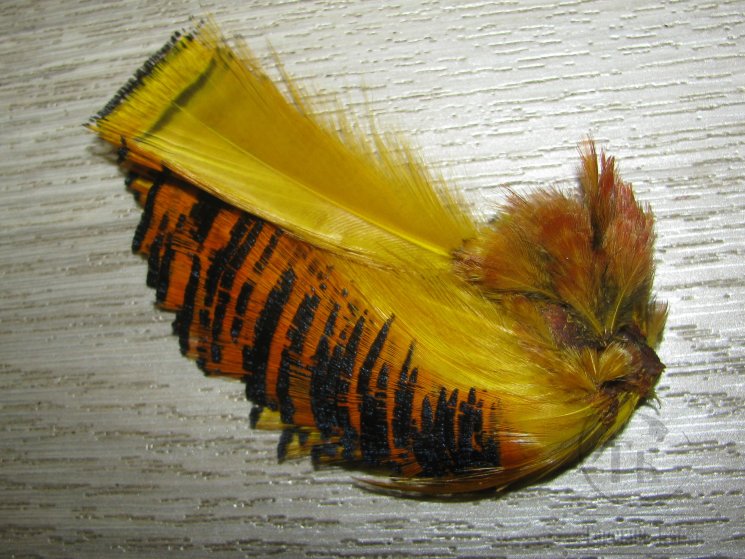 Золотой фазан  (шея) Golden Pheasant Tippet Section Yellow Banana