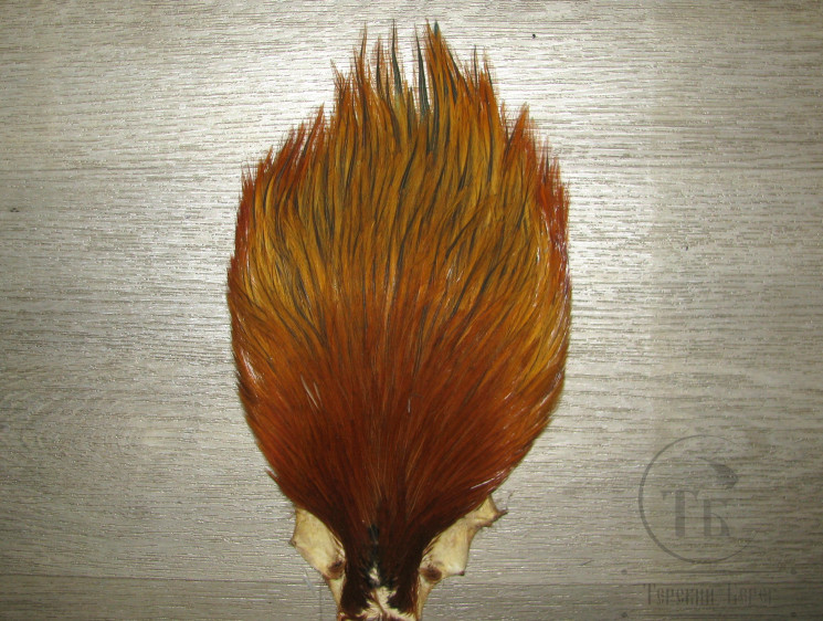 Скальп петуха Cock Cape Premium XXL Golden Brown Badger