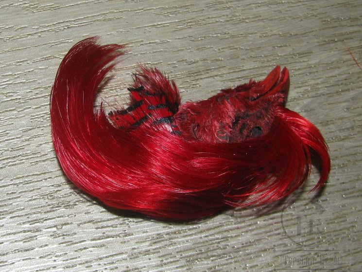 Золотой фазан хохолок Golden Pheasant Crest Only Red