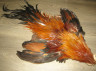 Шкура петуха с крыльями и хвостом Cock Skin Feniх Dry Fly ( скальп и седло рыже коричневые Dry Fly , хвост # 3 градации ) CS 3 / 24 