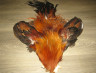 Шкура петуха с крыльями и хвостом Cock Skin Feniх Dry Fly ( скальп и седло рыже коричневые Dry Fly , хвост # 3 градации ) CS 3 / 24 
