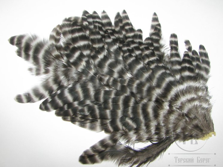 Куриное перо Hen feathers гризли 1/2 седла