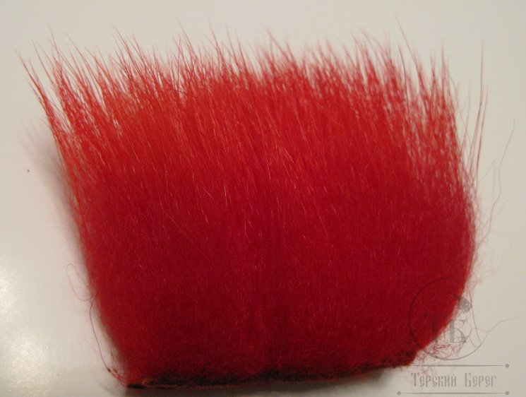 imi polar bear red premium