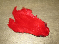 Скальп петуха indian Cape Red / Scarlet Sm.