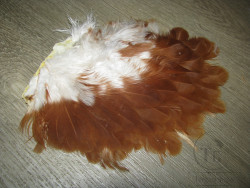 Перо курицы на коже 1/2 Soft Hackle Rusty Brown ( распродажа П- 116 )