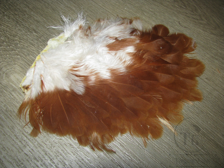 Перо курицы на коже 1/2 Soft Hackle Rusty Brown ( распродажа П- 116 )