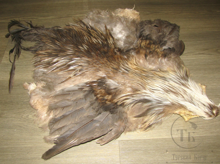 Шкура петуха с крыльями и хвостом Cock Skin Grey Badger Variant ( скальп и седло Grey Badger Variant , хвост отсутствует ) CS 6 / 24 