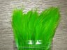 Перо скальпа петуха Зелёно Шартрезное \ Strong neck hackle Green Chartreuse Терский Берег