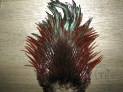 Седло петуха Indian saddle Red Brown Badger PR.