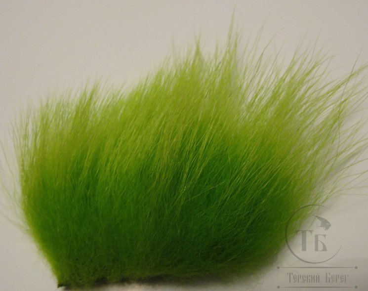 imi polar bear fl. chartreuse standart