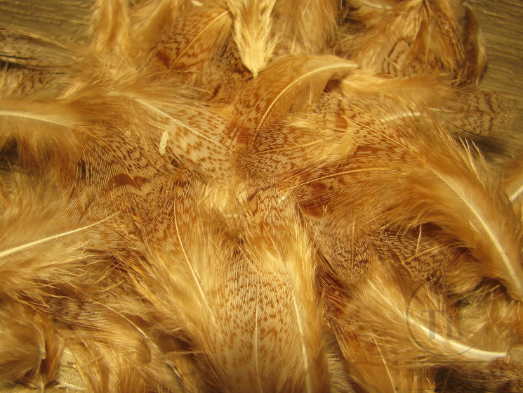 Перья куропатки Gray Partridge Feathers Bleached