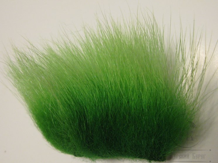 imi polar bear insect green standart