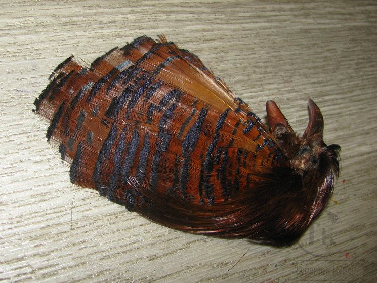 Золотой фазан комплект (шея, голова) Golden Pheasant Complete Head Golden Brown Grade # 2