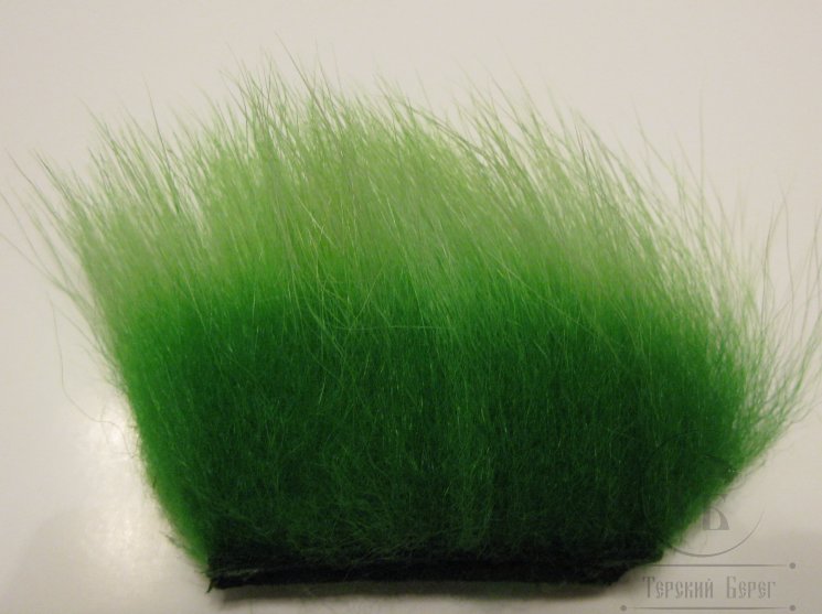 imi polar bear insect green premium