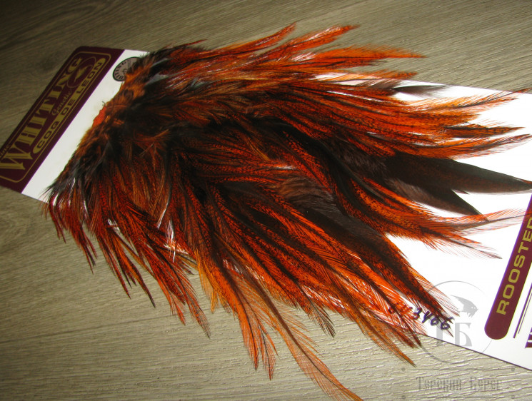 Седло петуха Whiting Coq De Leon Saddle Bronze Md Pardo Orange ( покраска Терский берег ) 