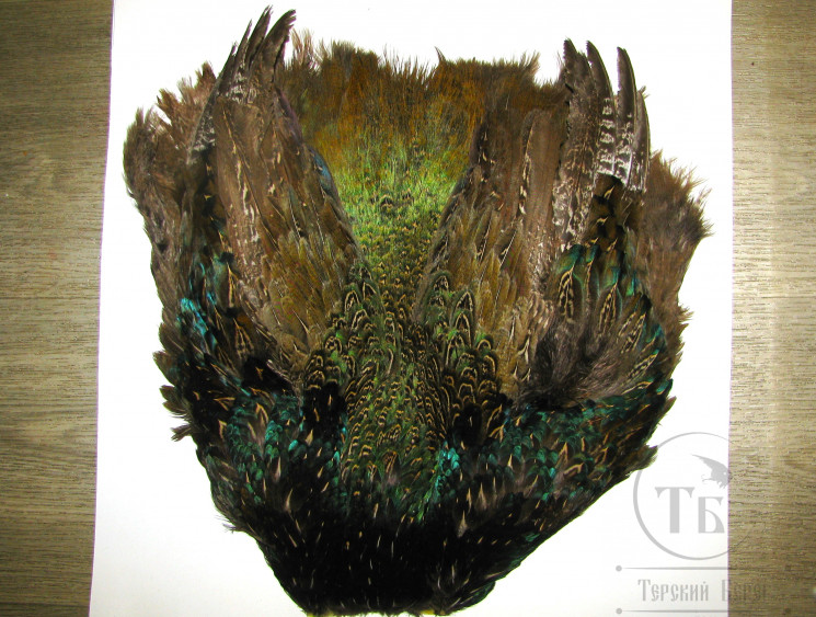 Шкура зелёного фазана Green Pheasant Body Skin Natural ( без хвоста )