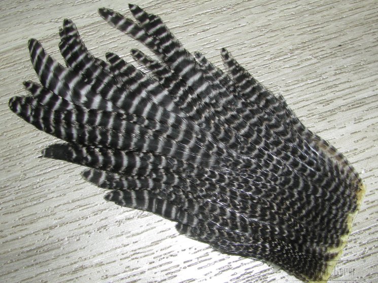 Куриное перо Hen feathers гризли Hen Cape Ps Wet (№ 18-12)
