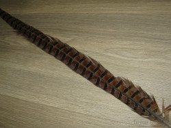 Центральное хвостовое перо охотничьего фазана натуральное ( 1 шт ) Pheasant Ringneck Tail Natural