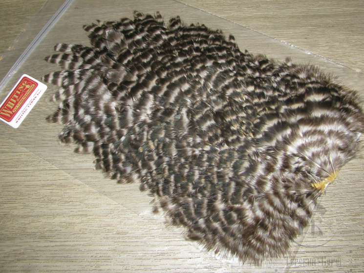 Курица седло 4B Hen Saddle Grizzly Whiting