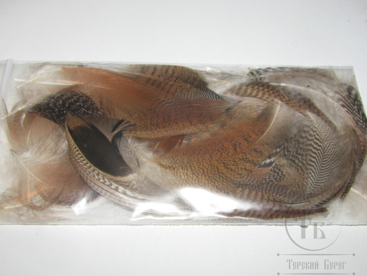 Перья древесной утки разные Woodduck Feathers