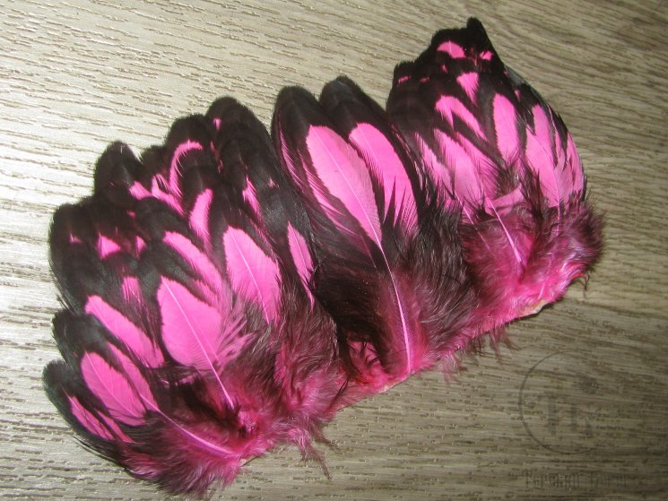 Перо курицы розовое с чёрной окантовкой  BLW Fl. Pink 