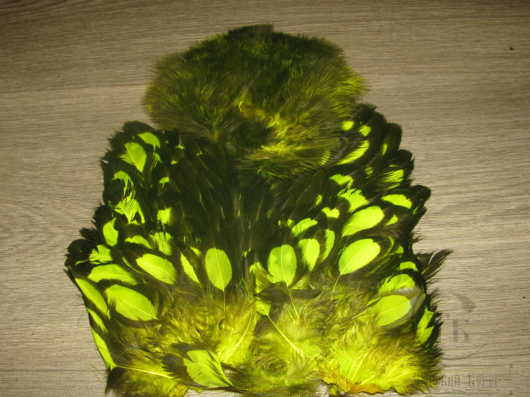 Перо курицы American Hen Soft Hackle W / Chickabou BLW / Fl. Yellow Chart.  Whiting