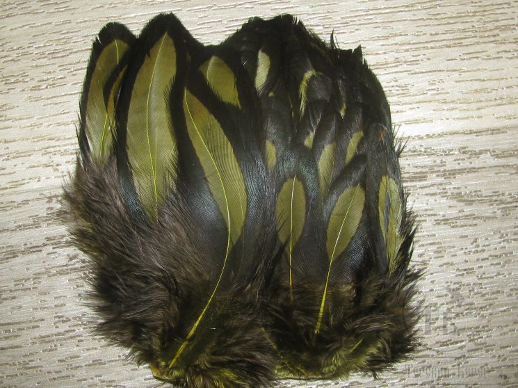 Перо курицы оливковое с чёрной окантовкой BLW Dk Olive