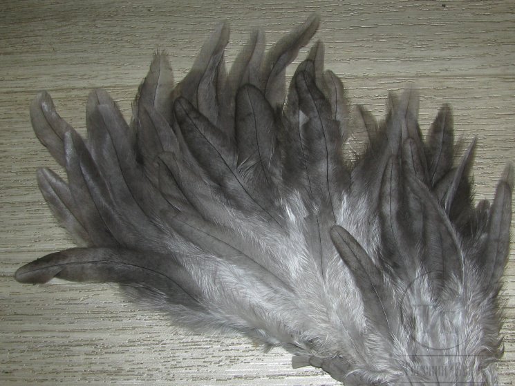 Куриное перо Hen Schlappen Gray