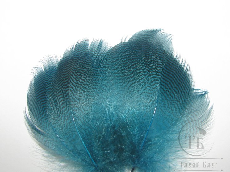 Перья шилохвости Pintail Flanks Fl. Blue отборные Md. 6 пар.