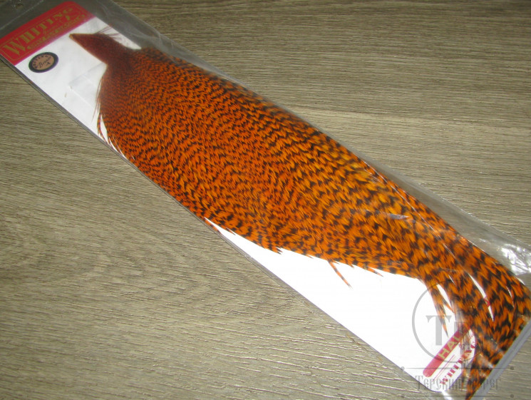 1/2 Скальпа петуха Whiting Dry Fly Bronze Cape Grizzly Dyed Burnt Orange