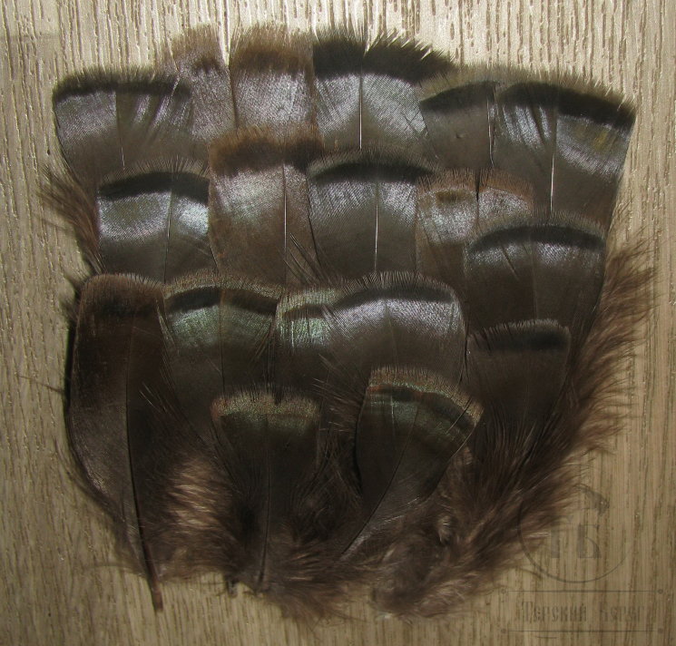 Перья индюка Turkey Flats iridescent natural sm (16шт)