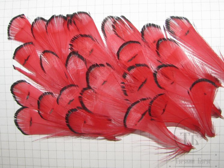 Перья шеи алмазного фазана Lady Amherst Tippet Feathers Sm (25 fs) Red
