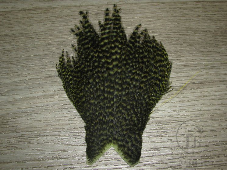 Куриные перья скальпа на коже  (верхняя часть) Dry Wet  Hen Cape American  гризли оливковый