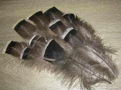 Перья индюка Turkey Flats Natural Sm ( 10шт )