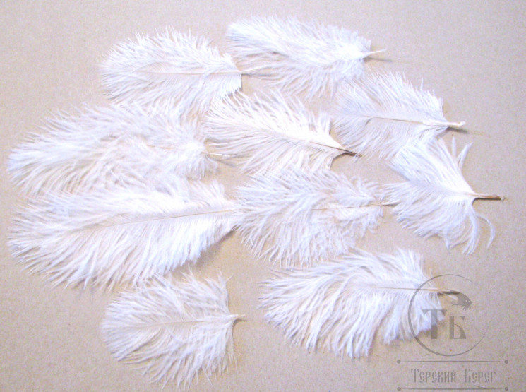 Мини страус Ostrich Marabou Fl. White 10 перьев